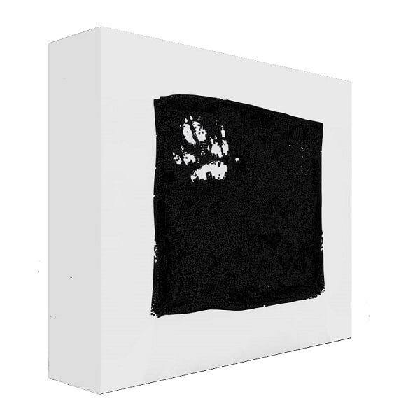 Bisz-Dekada-Wilka-preorder
