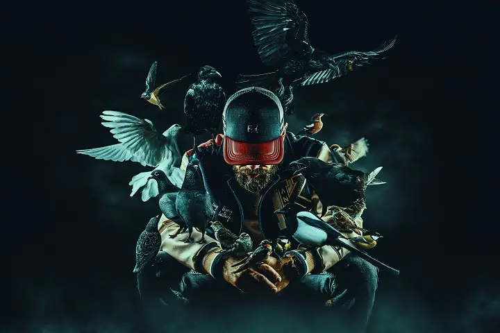 DGE-przedstawia-najbardziej-znane-Miejskie-Ptaki